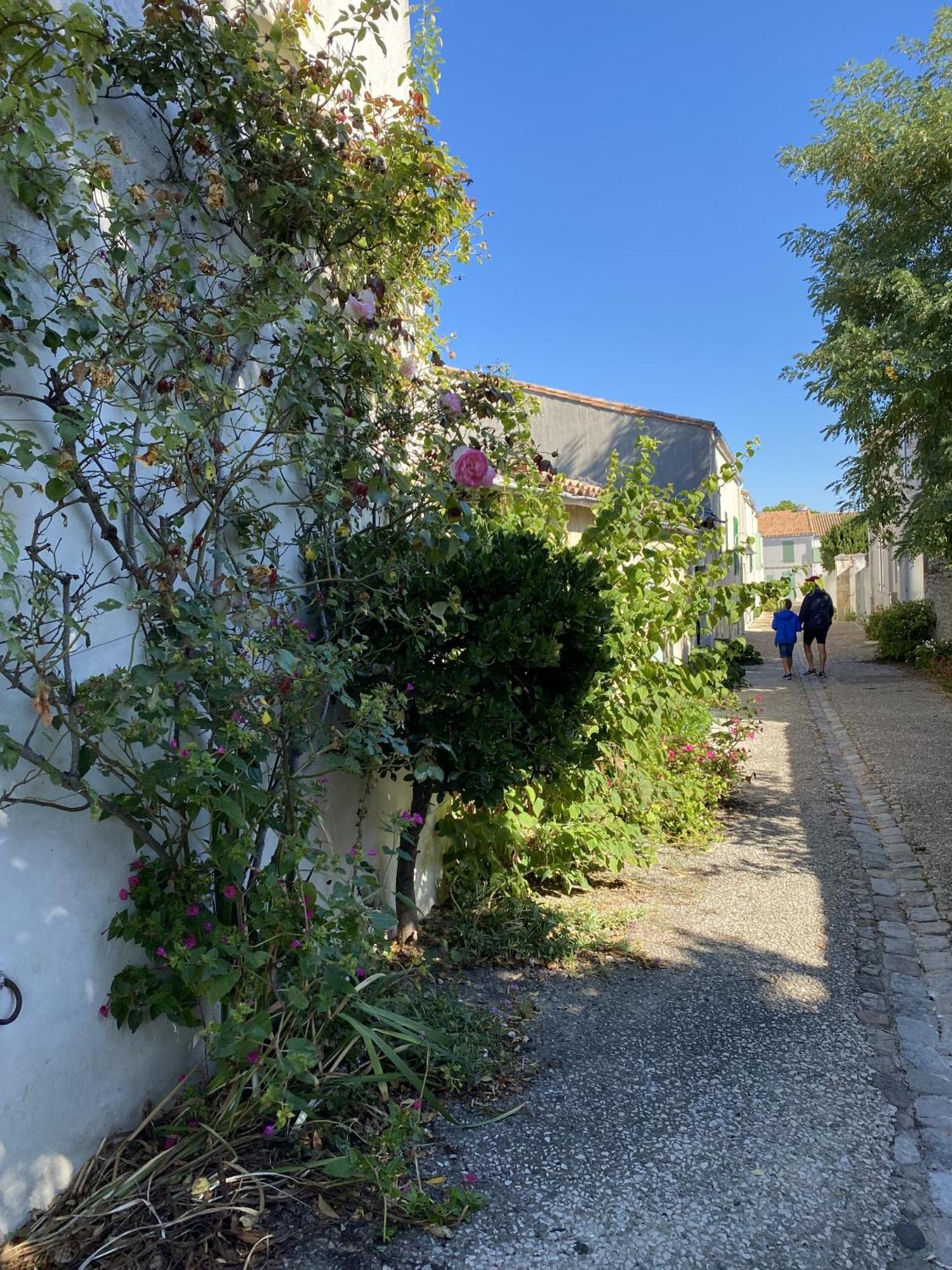 Les Remparts Apartment Saint-Martin-de-Re Exterior photo
